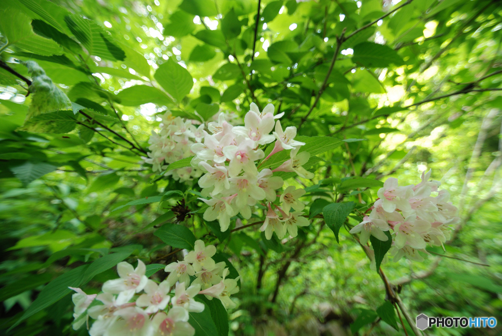 20120604_008