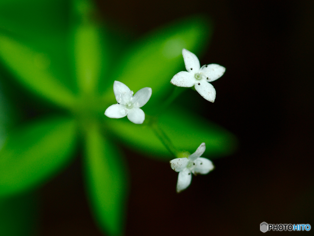 20130530_024