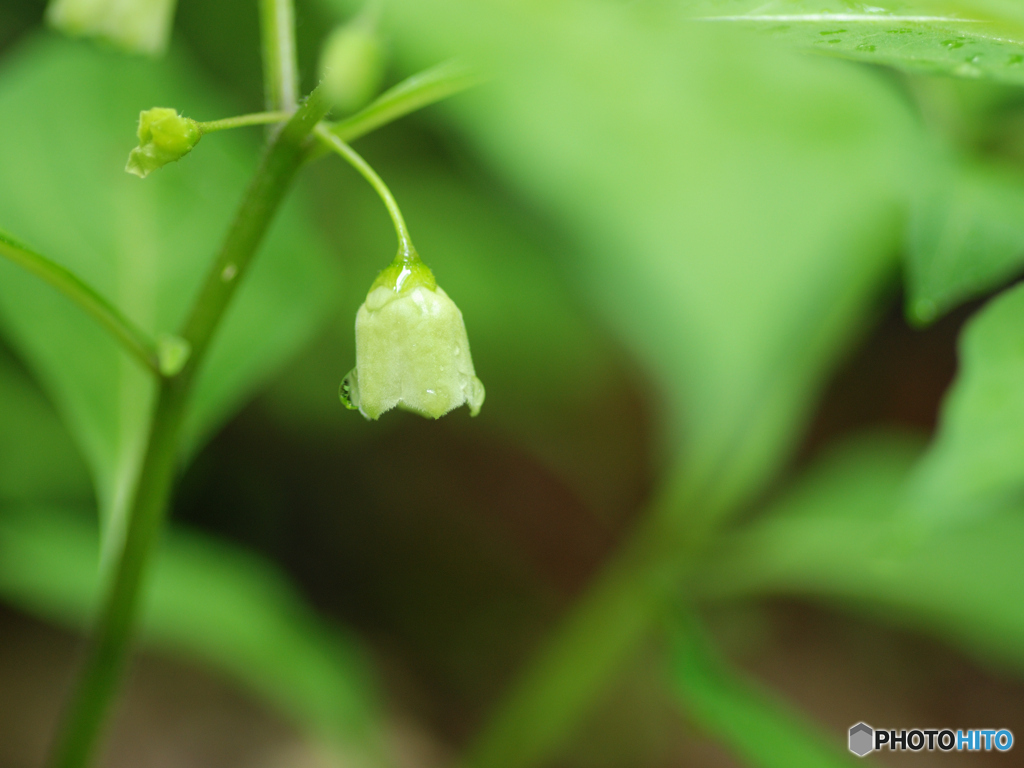 20130530_083