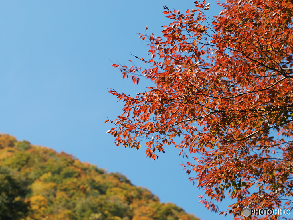 20121025_005