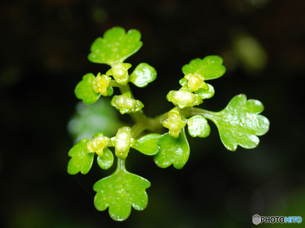20130502_025