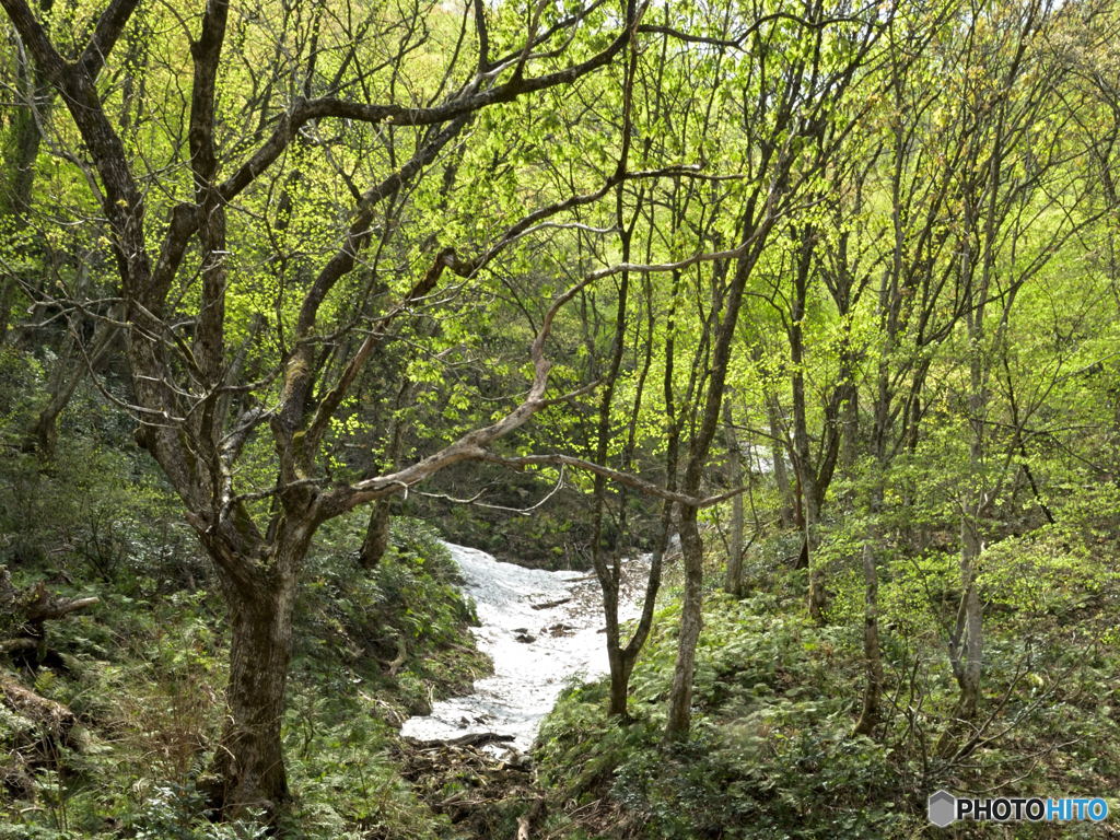 20120429_042