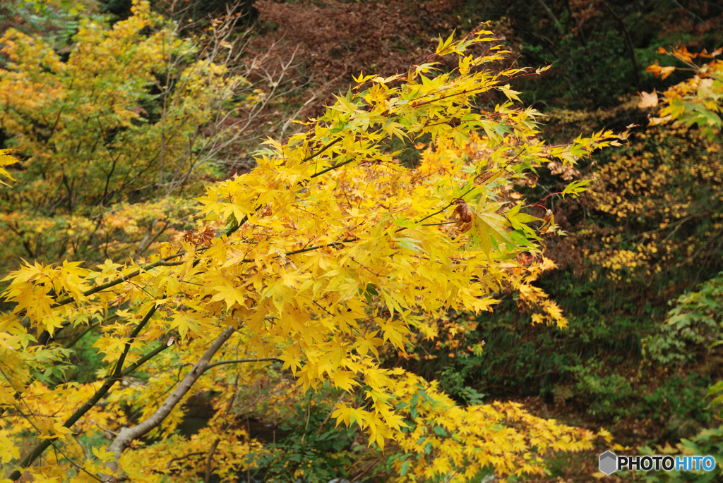 20111102_010