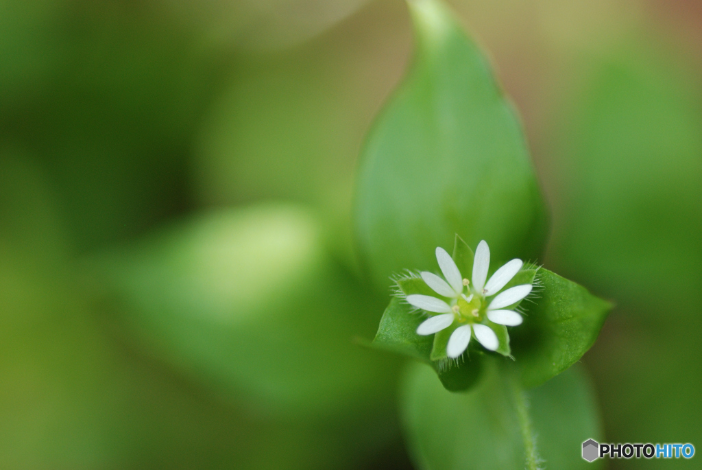 20130509_067
