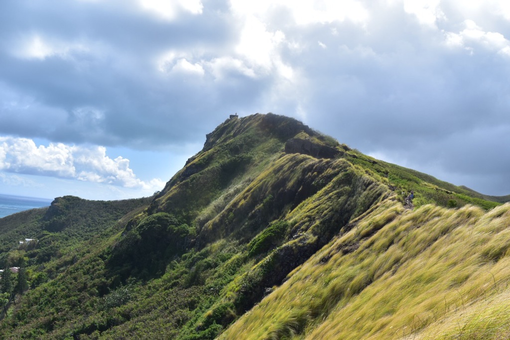 Hawaii pillbox trail