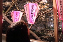 今年も春が来た