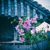 牛窓散歩３