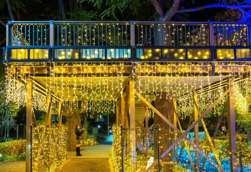 forest of illumination３