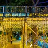 forest of illumination３