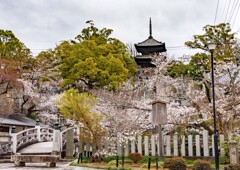 金戒光明寺