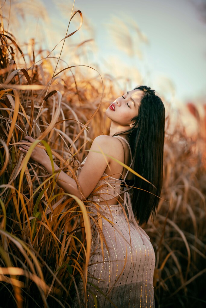 autumn colors