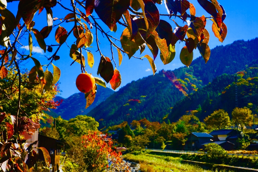 秋の風景