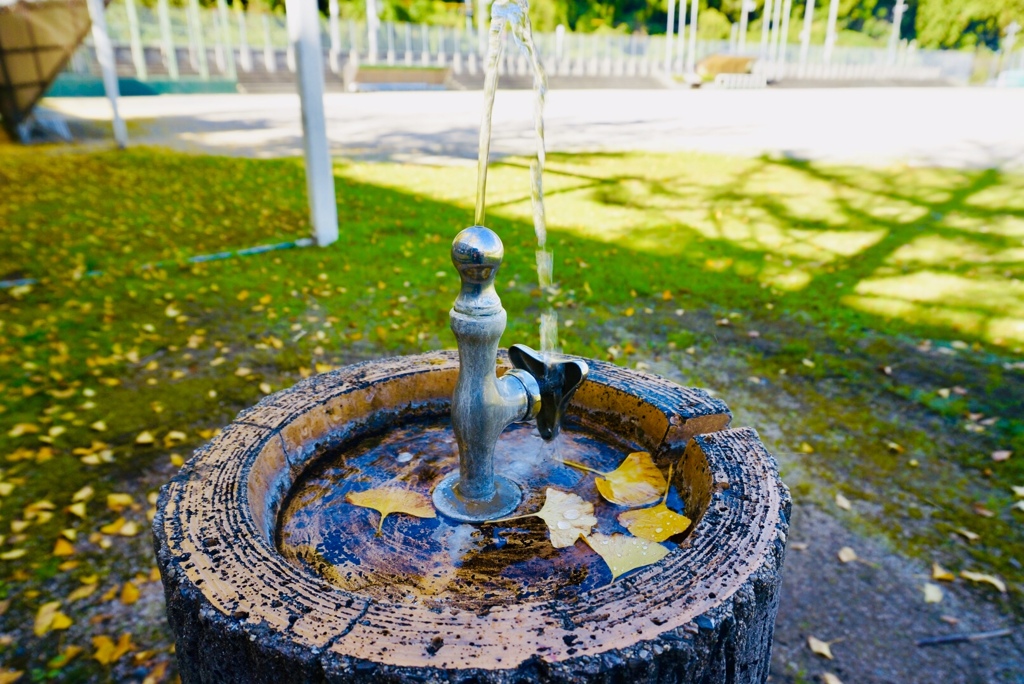 秋の公園で