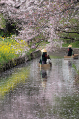 春の小川