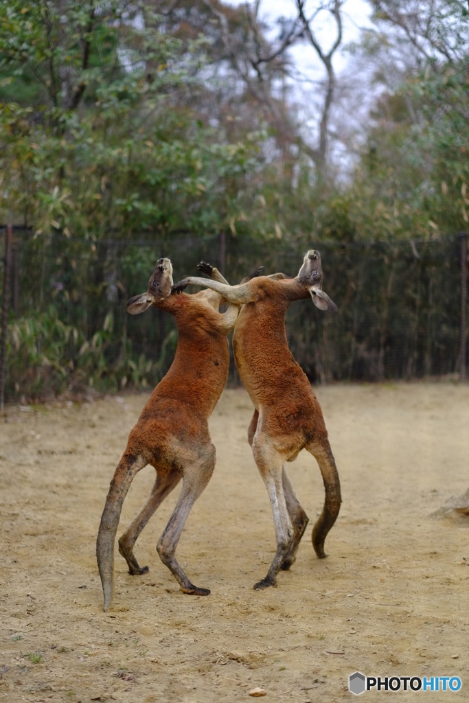 fight_01