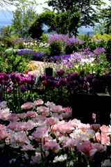 garden_01