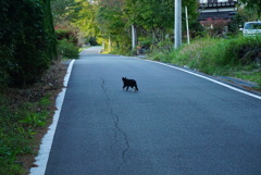 kai-oizumi