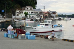 戸田