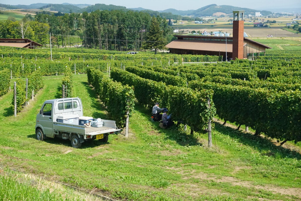 Furano