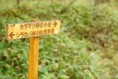 seisenryo