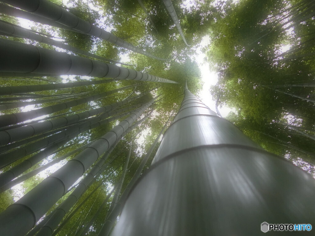 勢
