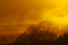 朝霧と対岸のシルエット