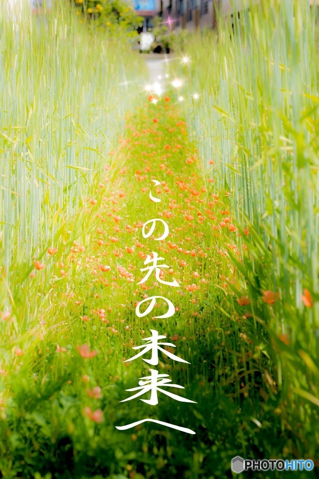 加工