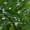 秋の長雨ですか？