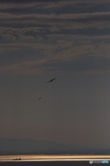 二機編隊？
