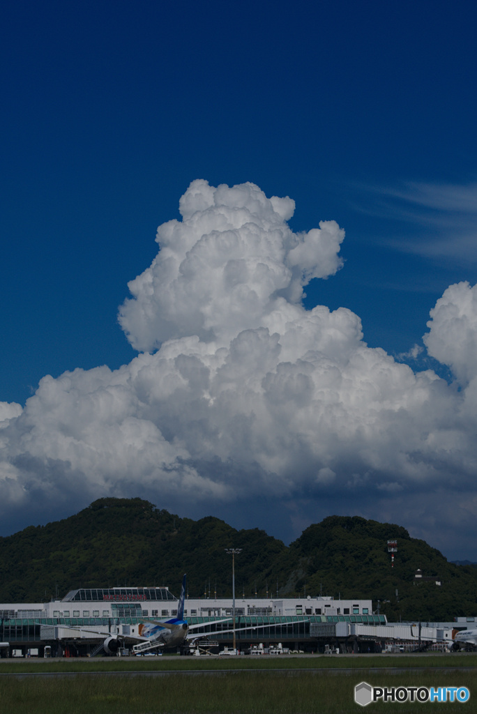 松山の夏