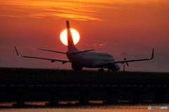 夕日の中の鶴丸