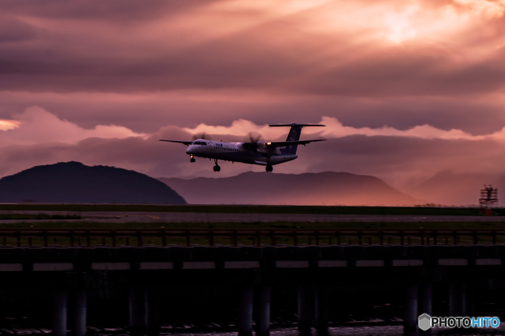 雨上がりの到着便