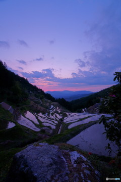 岩と棚田