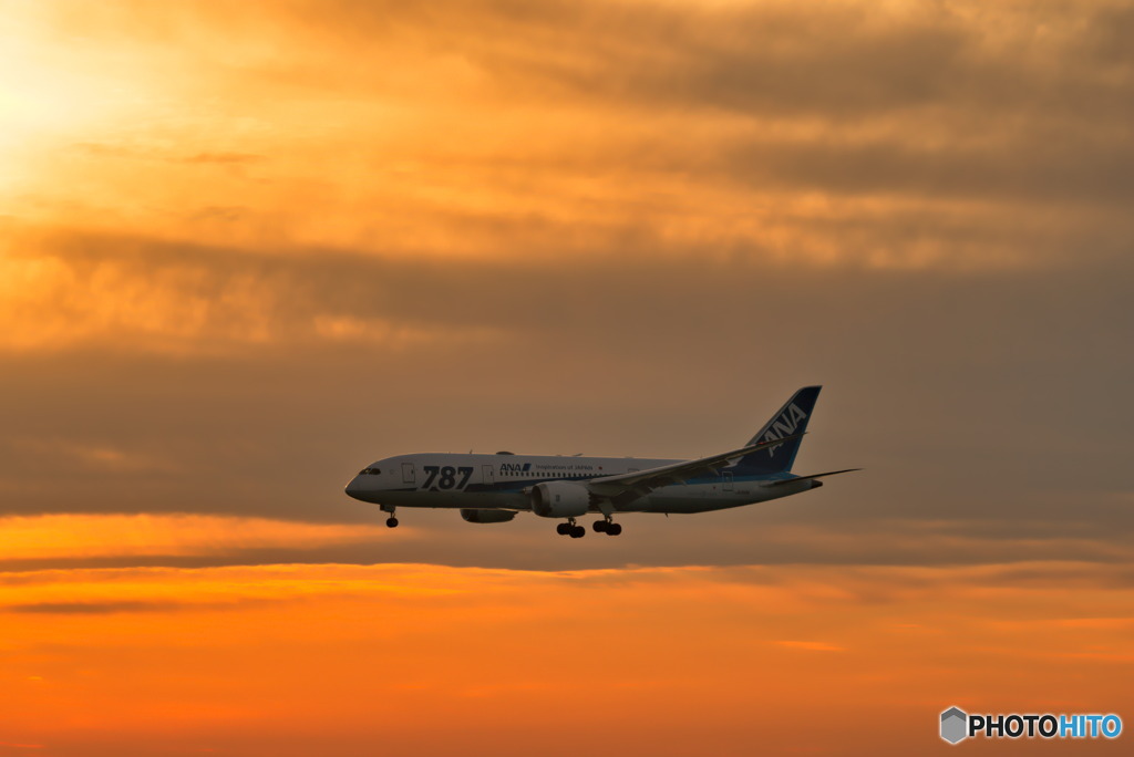 787