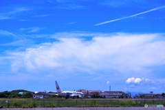 なつぞらと夏空