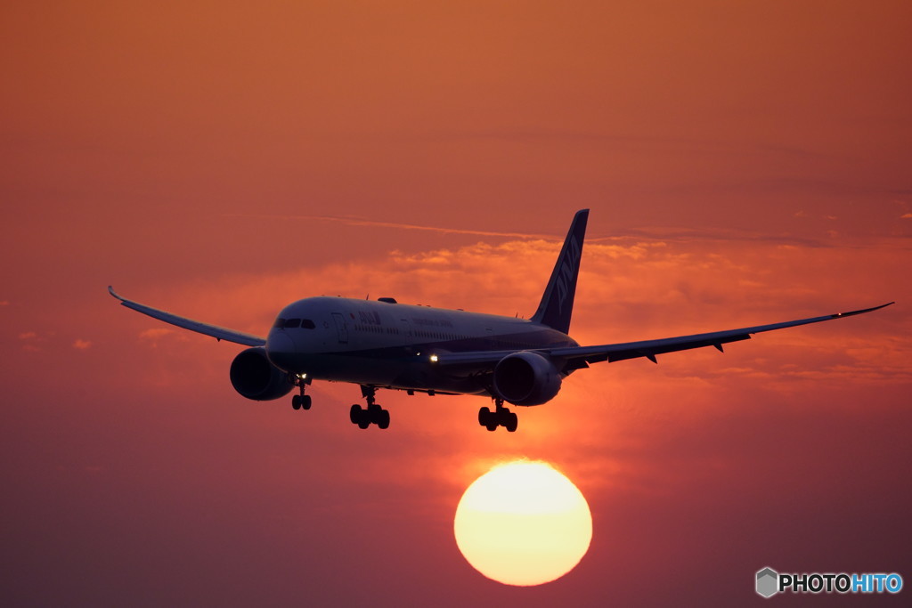 夕日の頭も沸騰して!