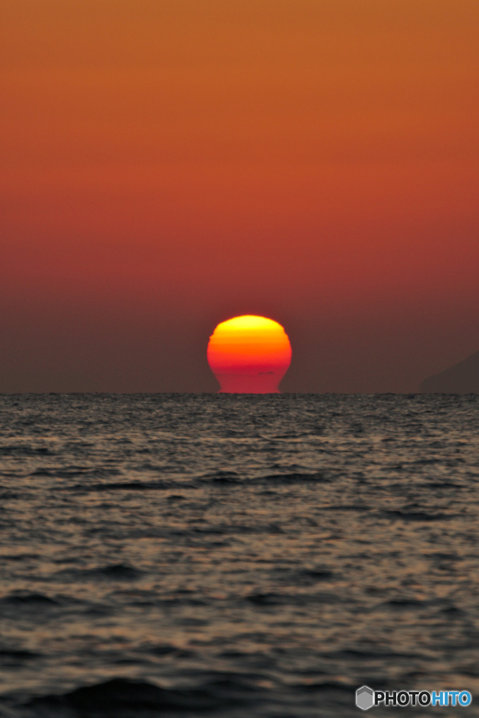 ダルマの中の小島？