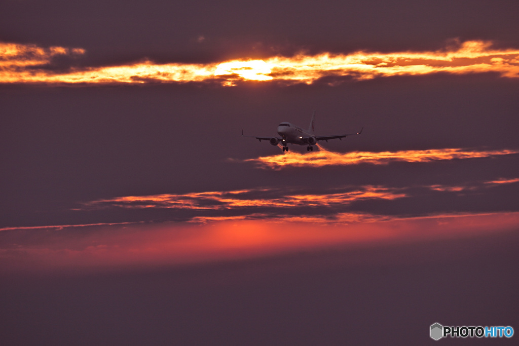 カモフラージュ