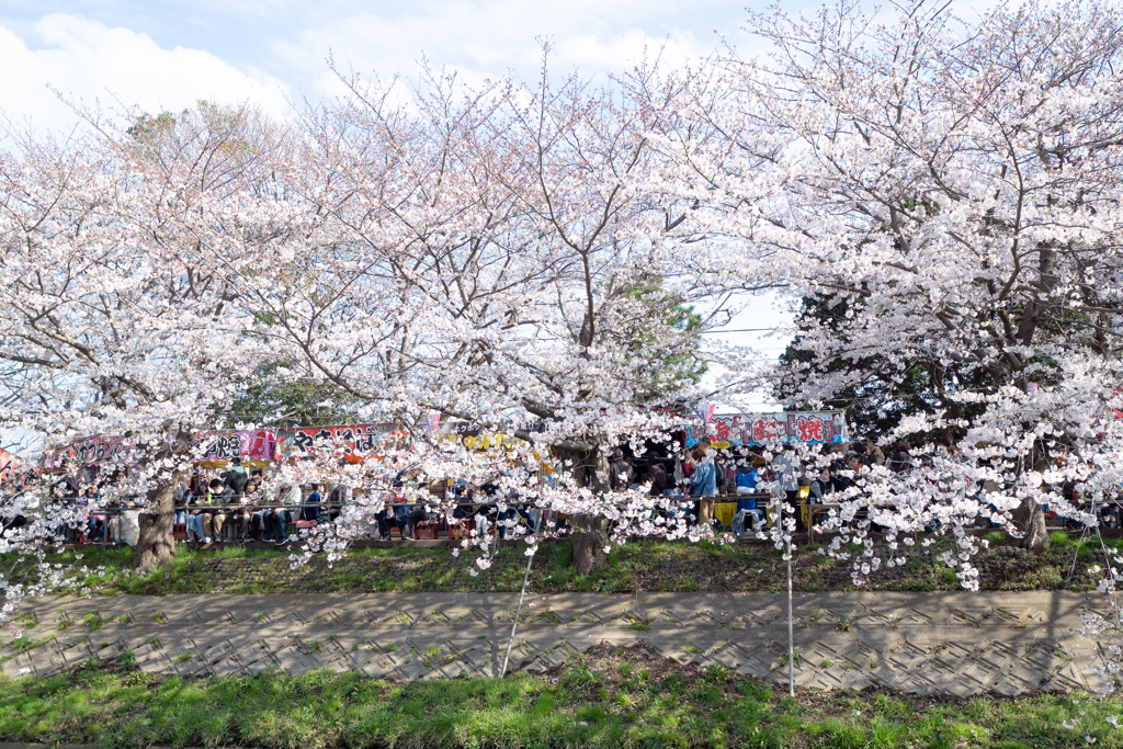 春の祭り