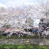 春の祭り