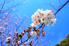 7D00370F-BD04-4F09-B3B5-12E5C0494DD3