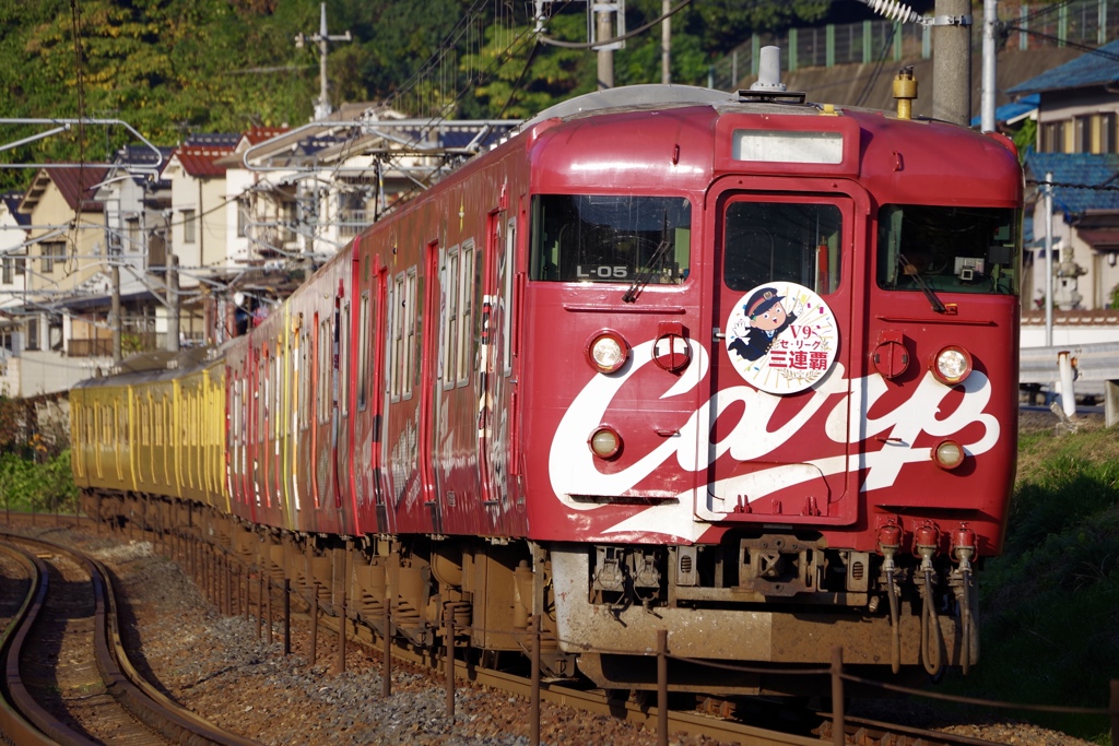鯉電車