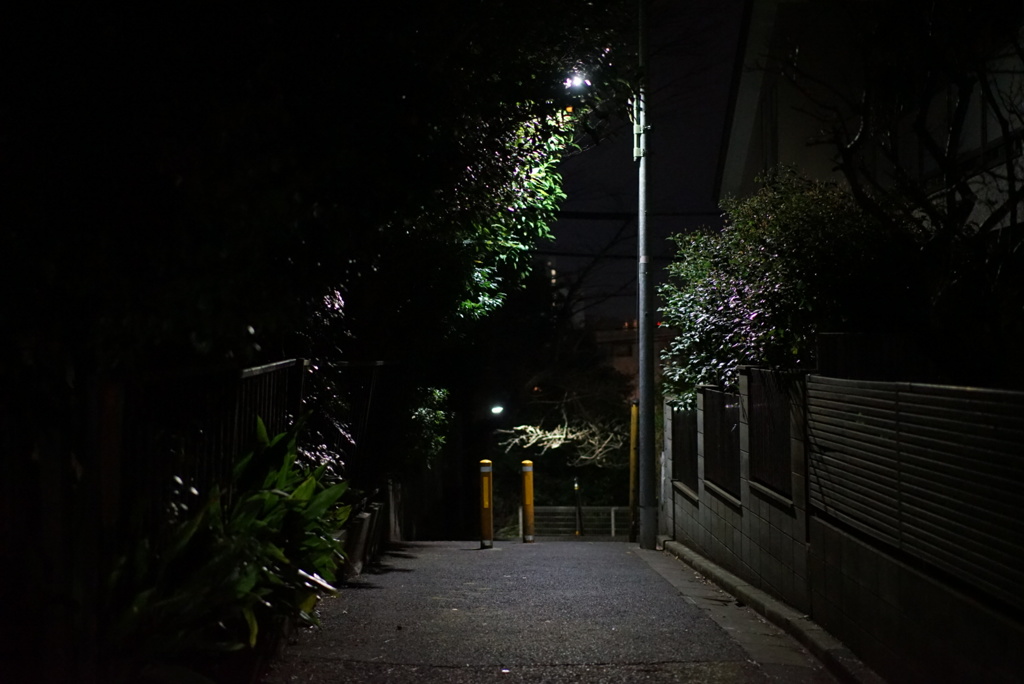 夜道 by hiro11212321 (ID:8570911) - 写真共有サイト:PHOTOHITO