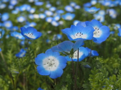 93B58823-DF43-4EA8-A54D-CCE99D0824FF