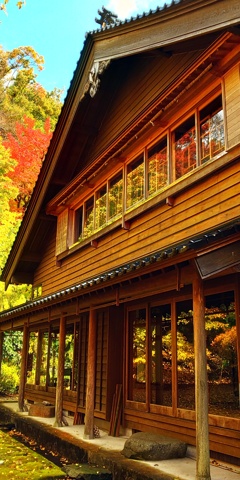 DSC_8163紅葉