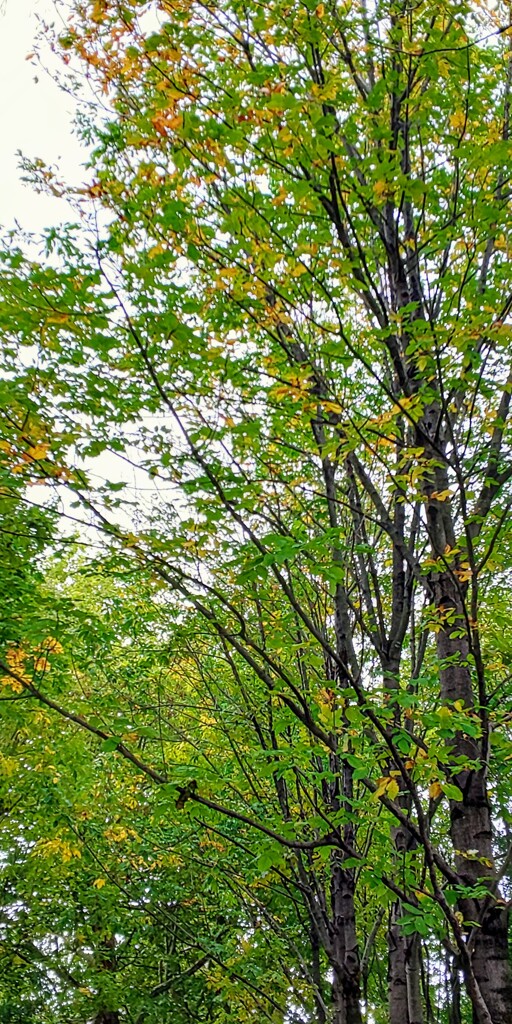DSC_7300~2徐々に