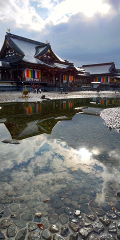 DSC_8855初詣