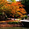 IMG_20191017_140546_457寺家公園にて！