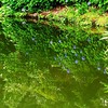 IMG_20190629_214605_154初めてです