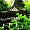 IMG_20200629_084738_541奥の院